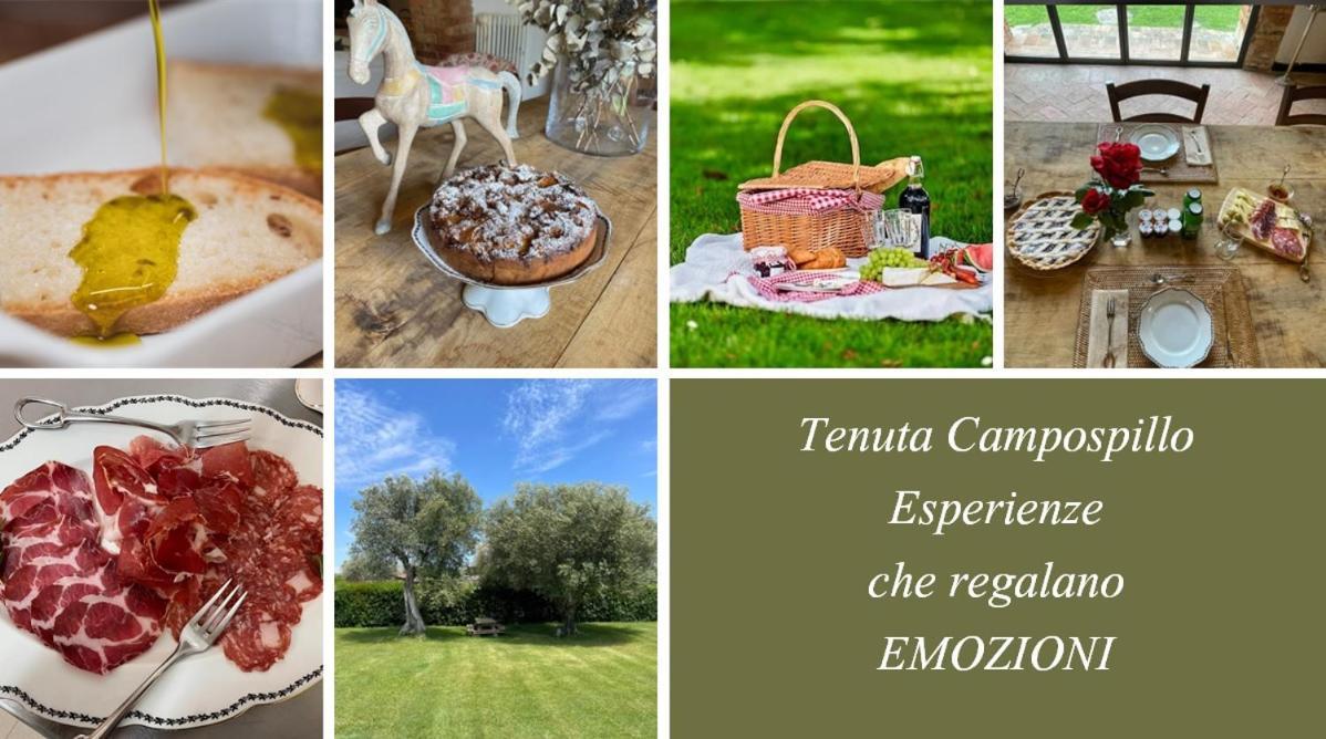 Tenuta Campospillo Маляно ин Тоскана Екстериор снимка